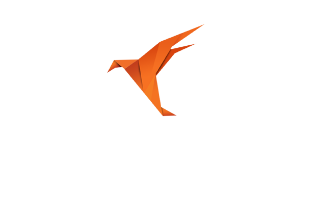 Soluk Logo